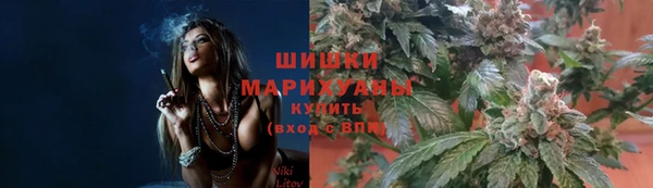 скорость Алзамай