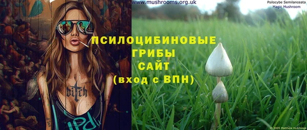 скорость Алзамай